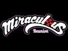 Miraculous Reunion android